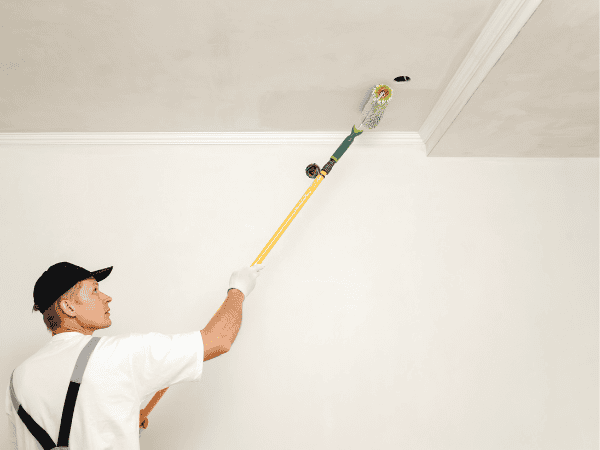 ceiling Painter